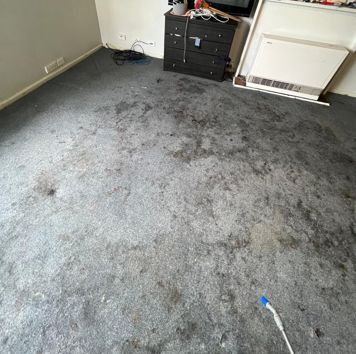 Before Image